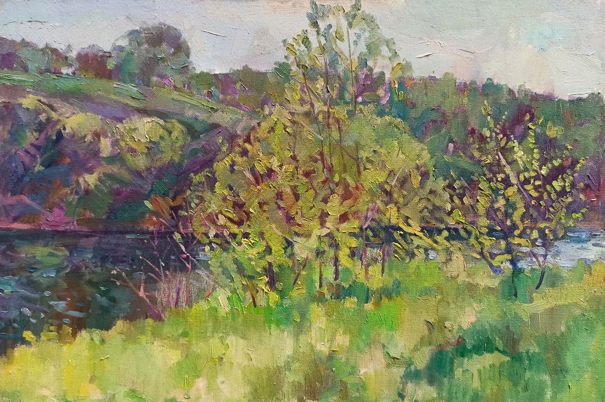 Impressionistic Landscape Oil Painting By Peter Tovpev, 24 X 16", Summer Sunny Day, Original Artwork