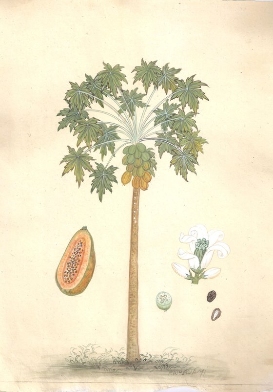 Royal Papaya Tree | Original Miniature Art