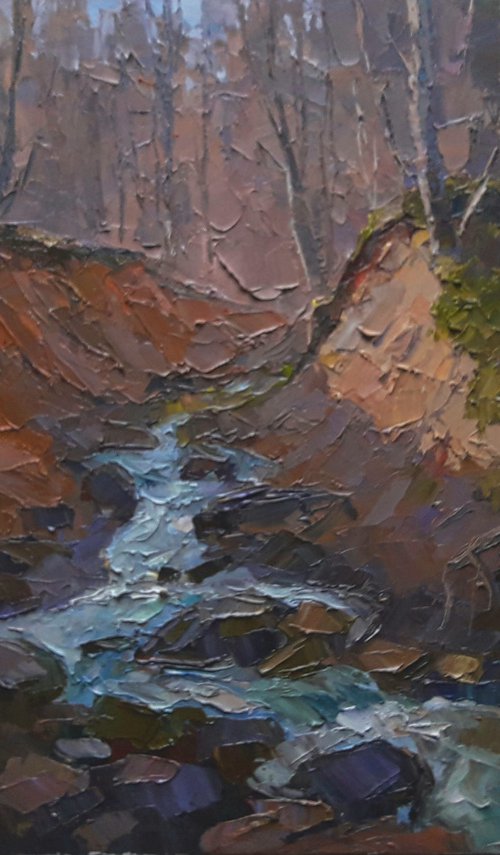 Mountain stream by Boris Serdyuk