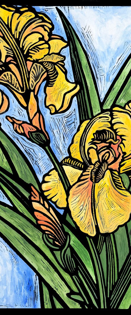 Yellow Iris by Laurel Macdonald