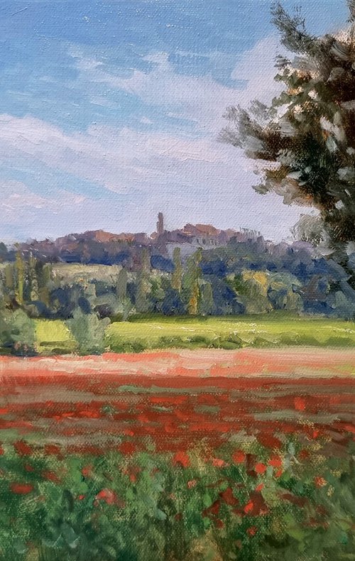 Coquelicots dans le Luberon by Pascal Giroud