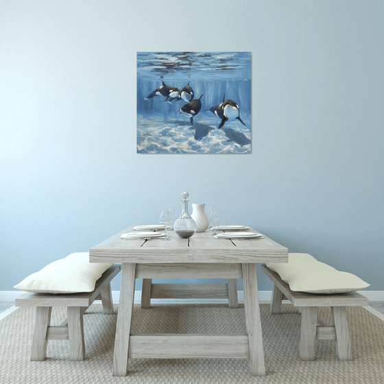 "A pod of Killer Whale"