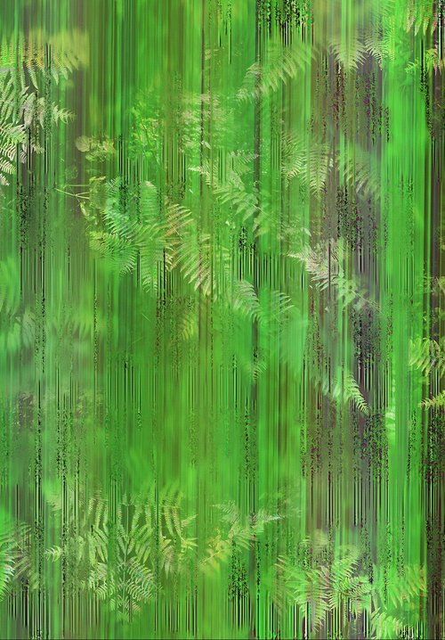 ABC#193 fresh forest #2 by Mattia Paoli