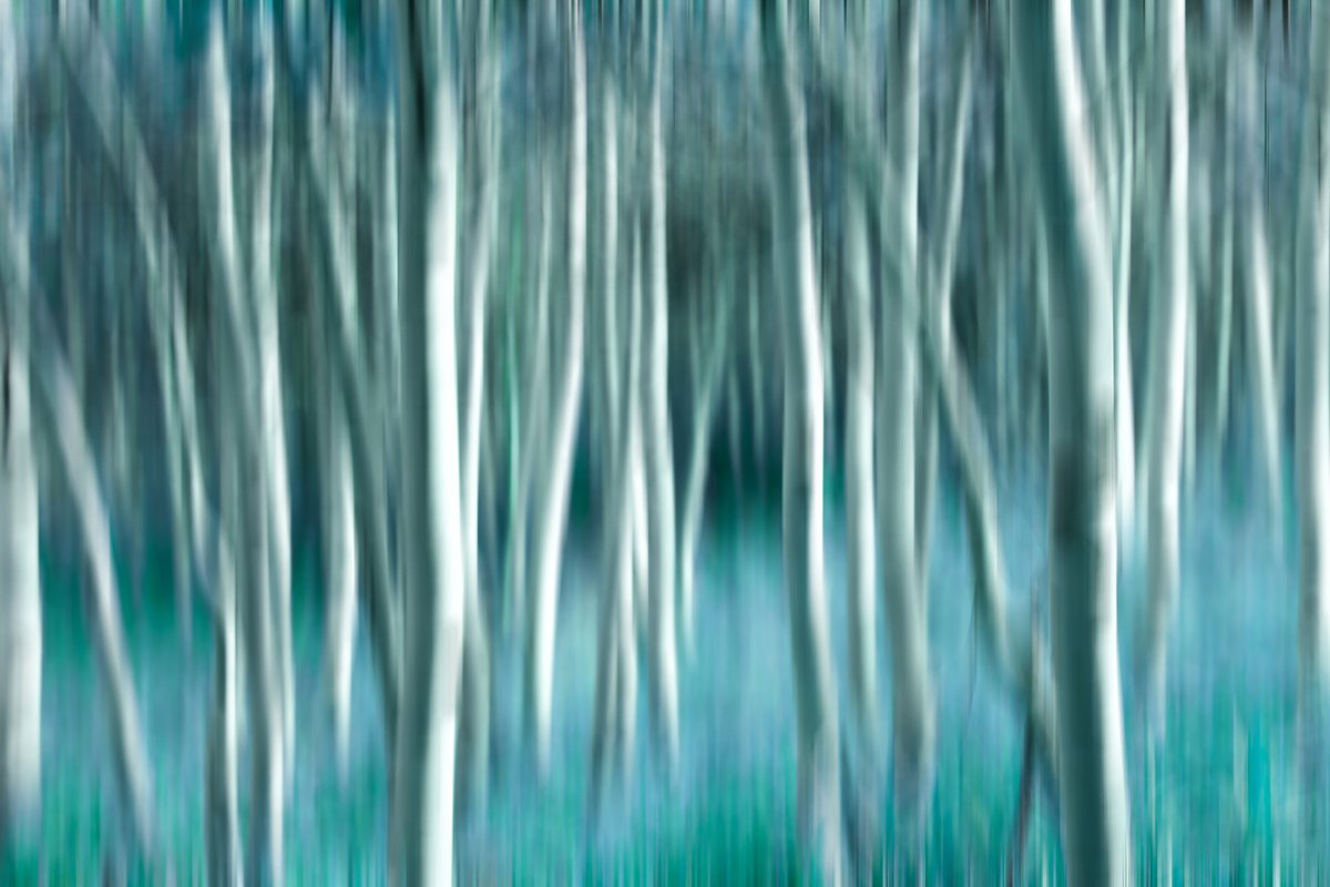Abstract Photograph , Dream Path By Emily Kent, 37 X 25, Artwork For Sale On Artfinder