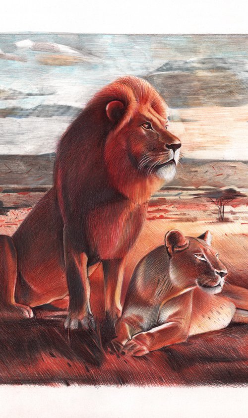 Lions by Daria Maier