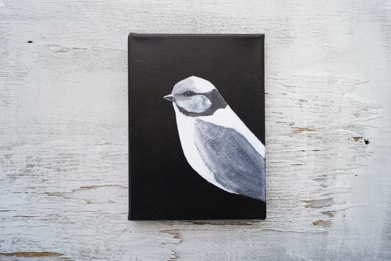 Bird portrait