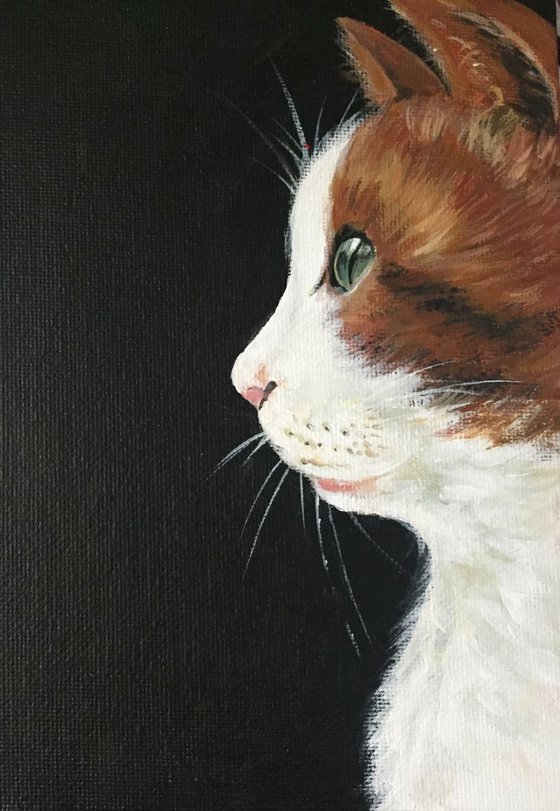 Cat portrait