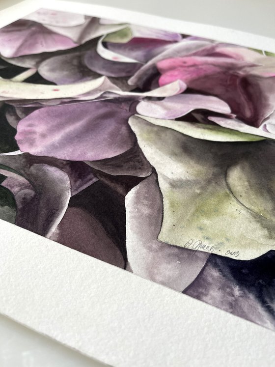 Hydrangea Bouquet