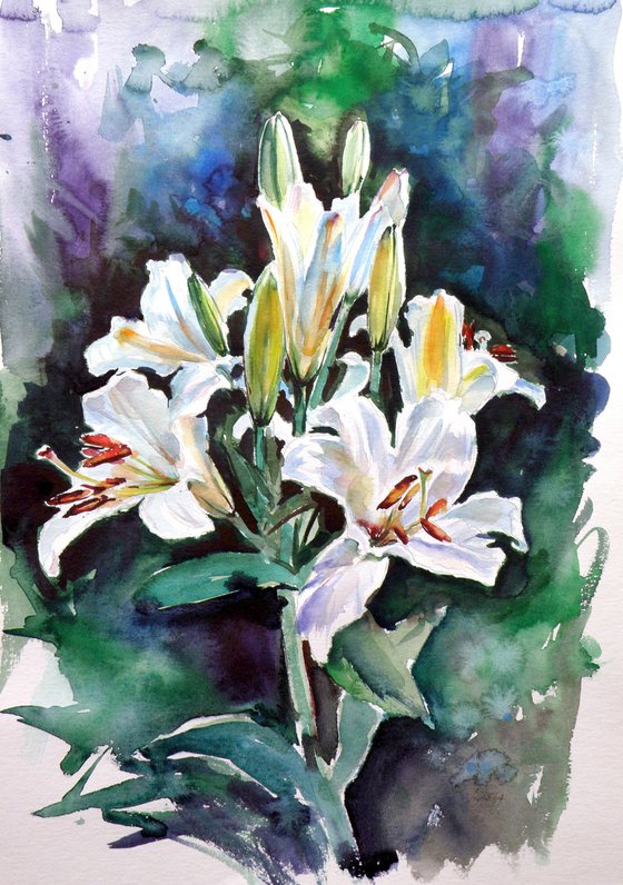 Lily from my garden II