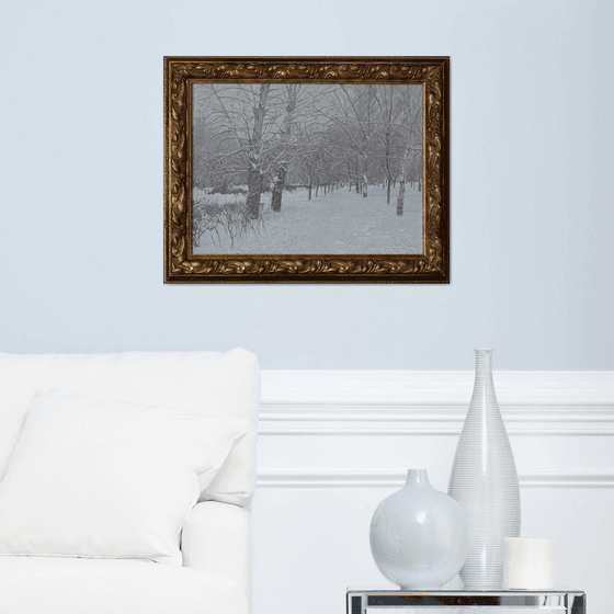 Snow-covered boulevard in Maryino