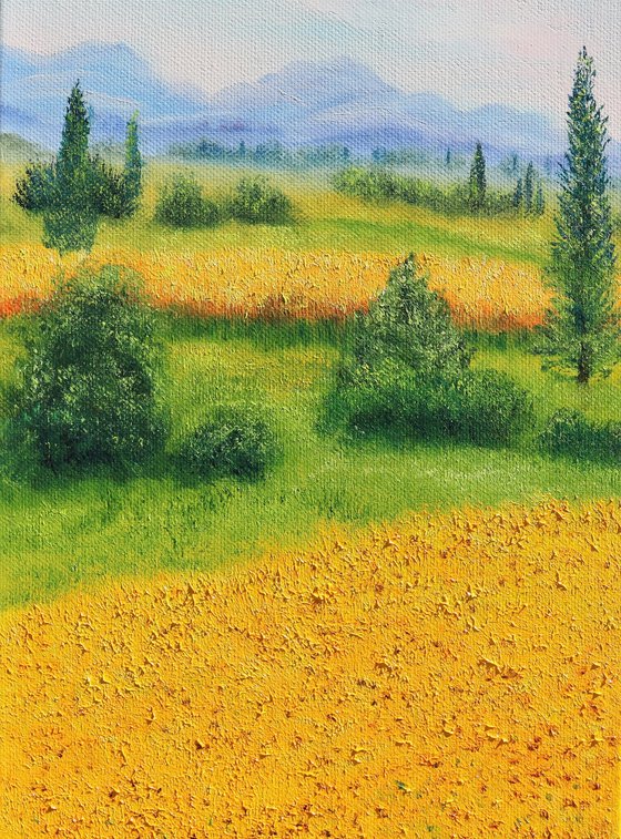 Sunflowers field in Tuscany