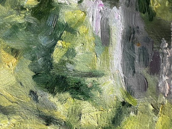 Forest Path