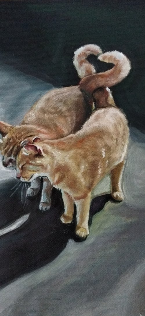 Cats by Viktória Déri