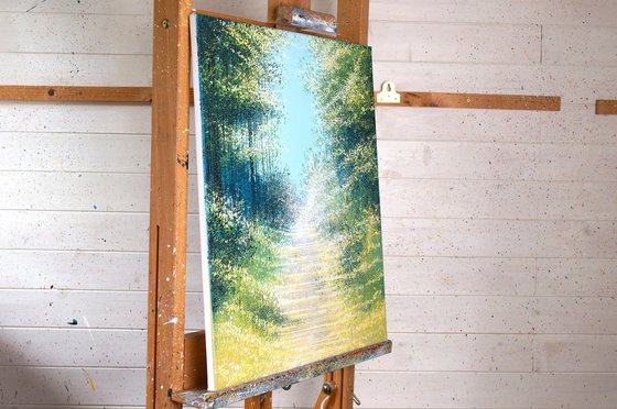 Forest Path In Sunlight