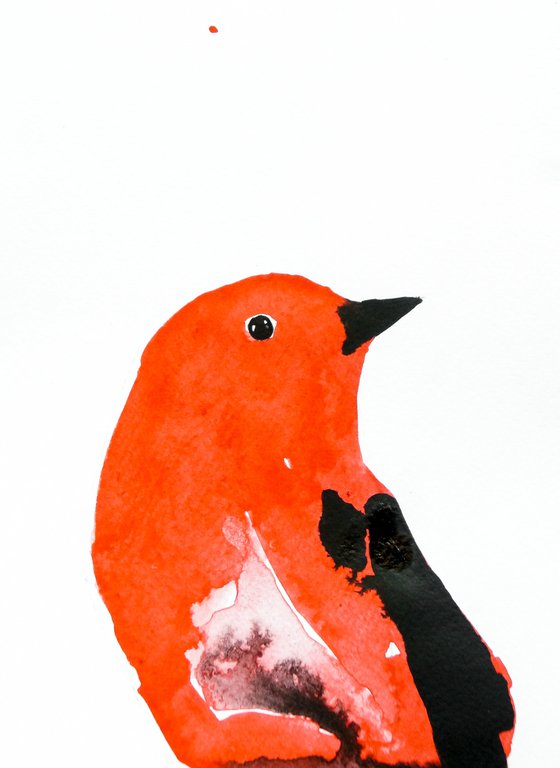 Bird