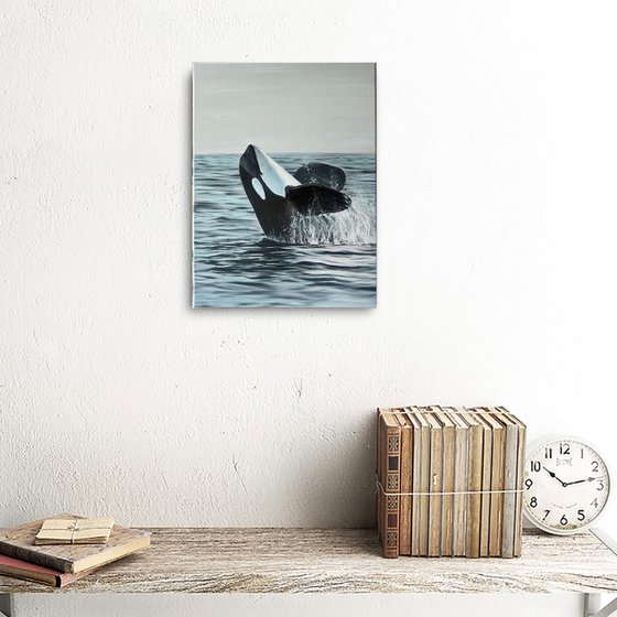 Smiling Orca
