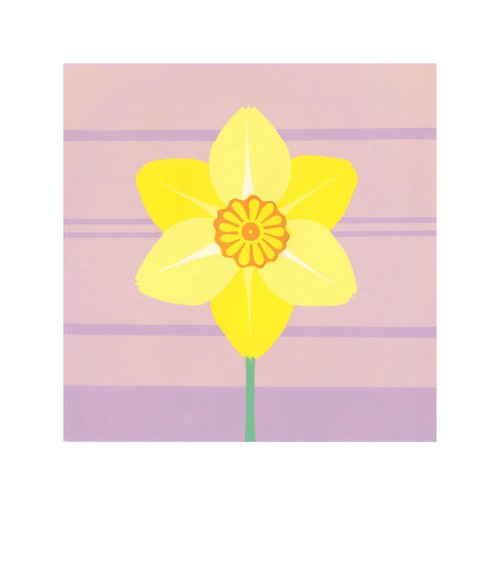 Daffodil by Louise Boulton