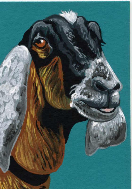 ACEO ATC Original Miniature Painting Nubian Goat Farmyard Art-Carla Smale