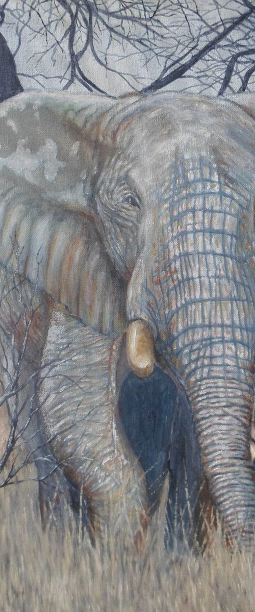 Out on patrol by John Howes