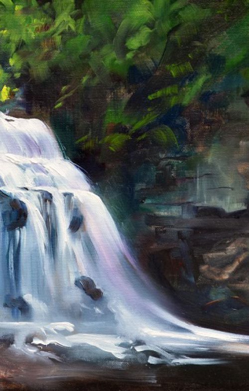 Cauldron Falls (Framed, ready to hang) by Denise Mitchell