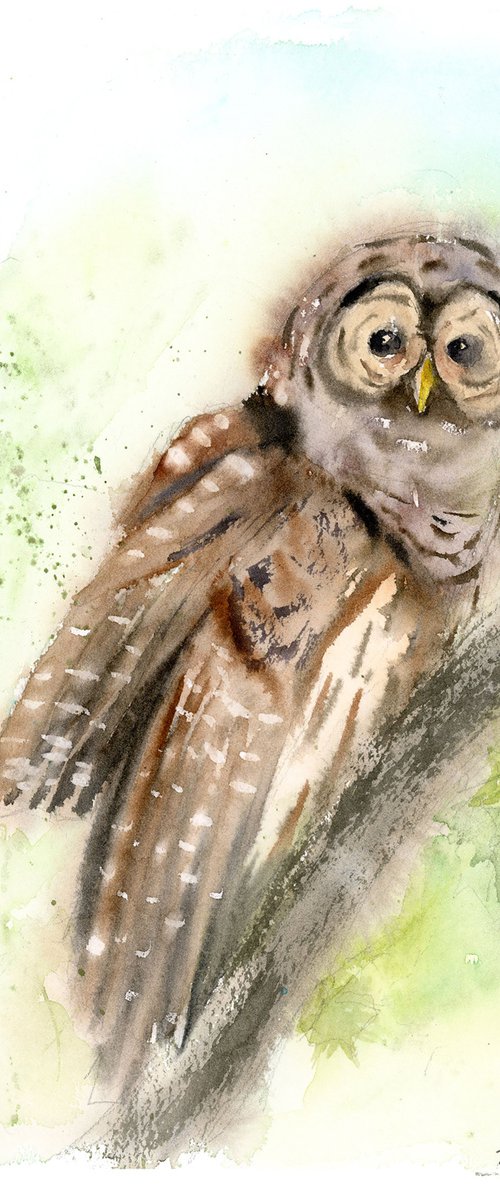 The OWL by Olga Tchefranov (Shefranov)