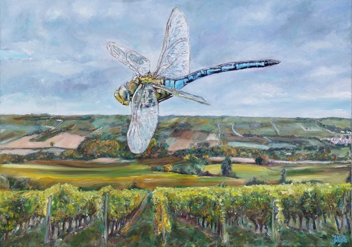 Photorealistic Landscape Oil Painting By Jura Kuba Art, 28 X 20", Dragonfly Over Vineyards, Original Artwork