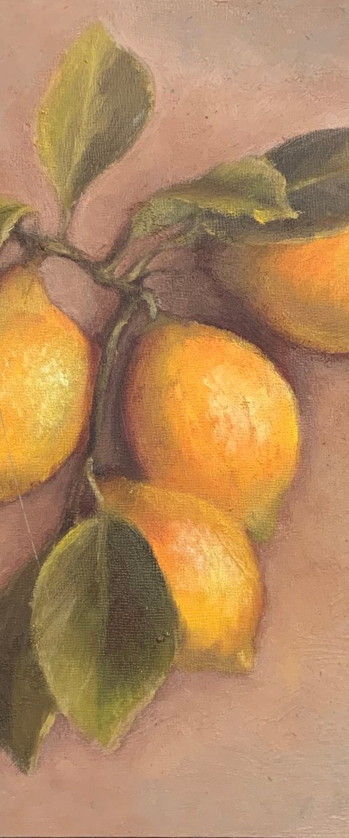 Lemons by Alena Post