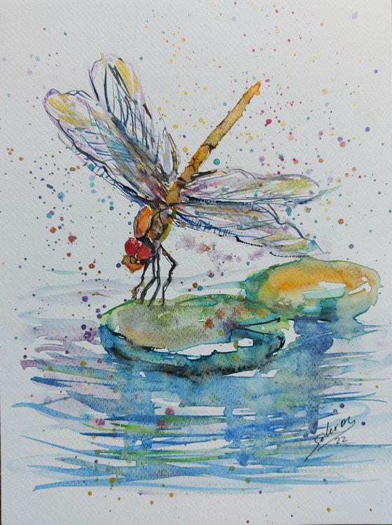 Dragonfly in the pond