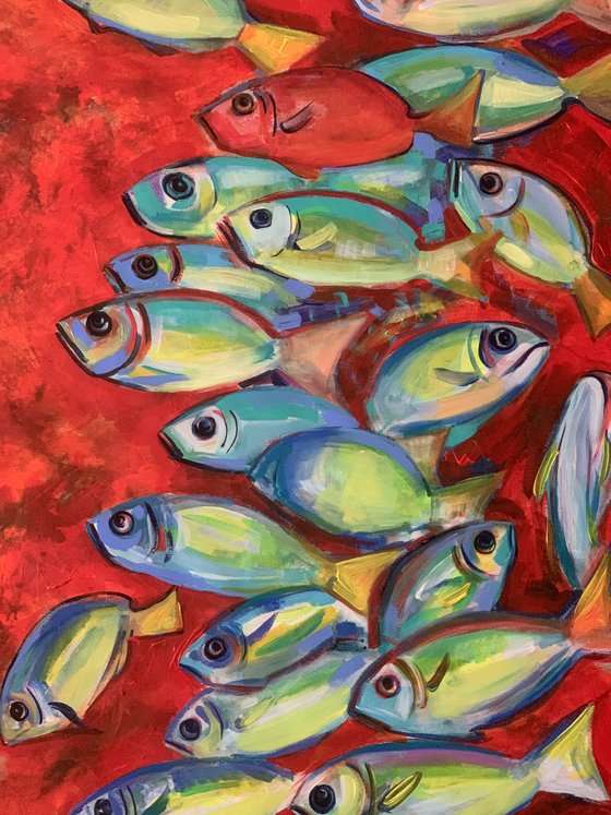 Sea  life