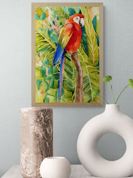 Scarlet Macaw in the Jungle