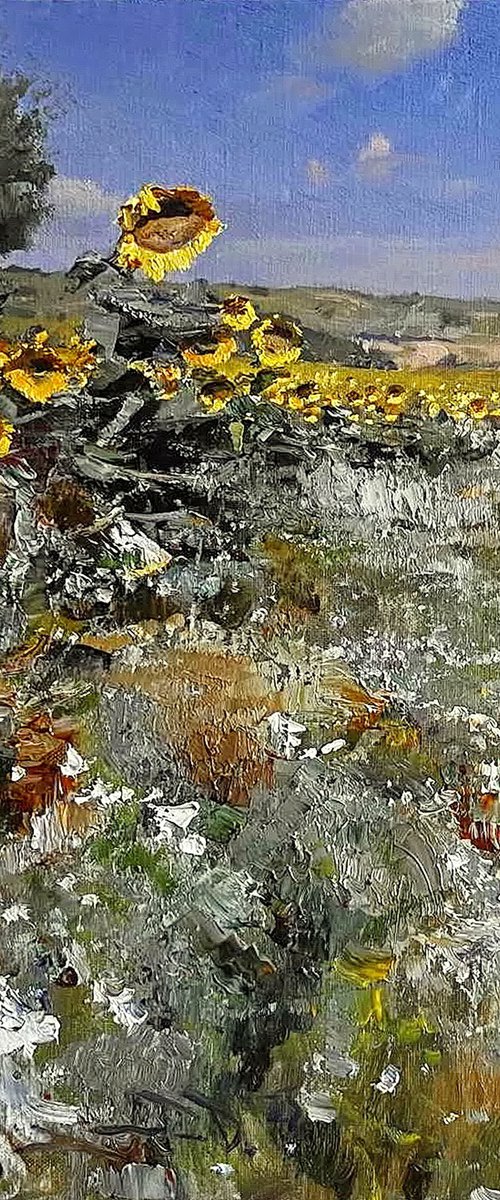 Summer field by Denys Gorodnychyi