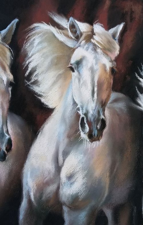 White horses by Magdalena Palega
