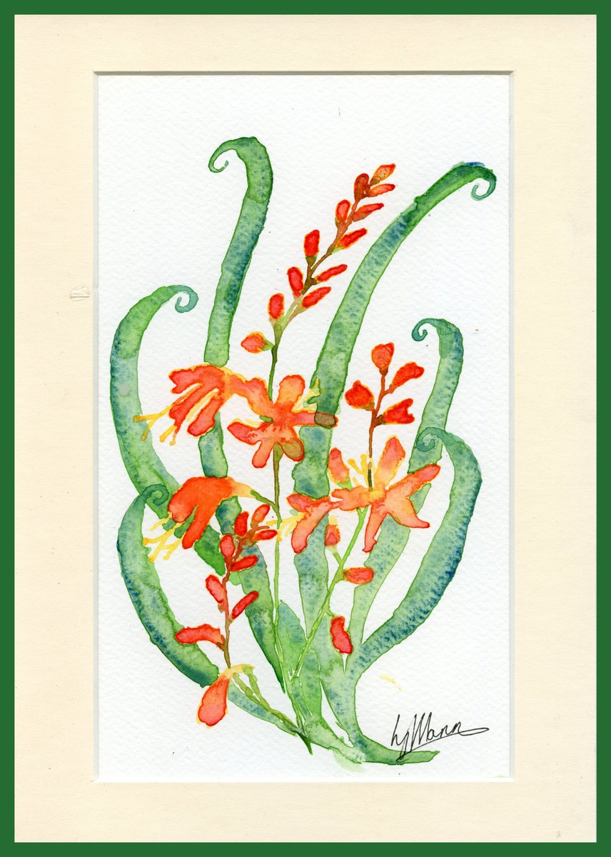 Crocosmia motif by Lisa Mann