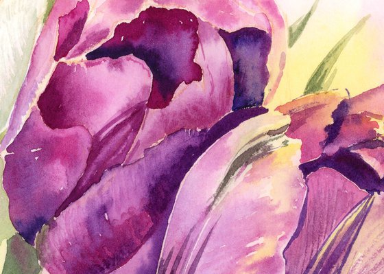 Purple Tulips Fantasy