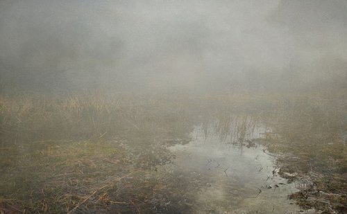 Wet Lands by Simon Antony Wilson