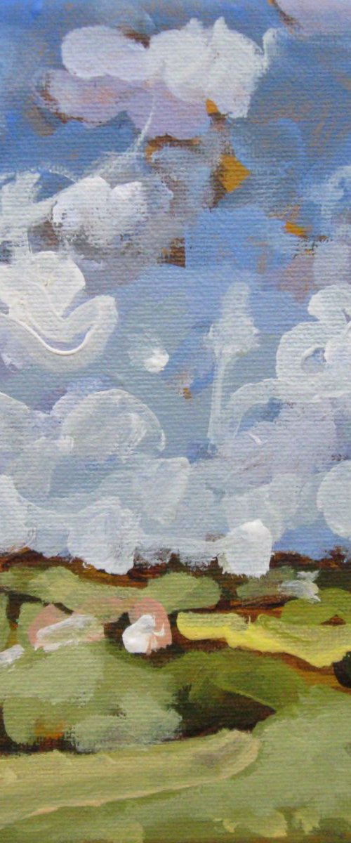 LANDSCAPE (SUMMER 17.) by LENKA STASTNA