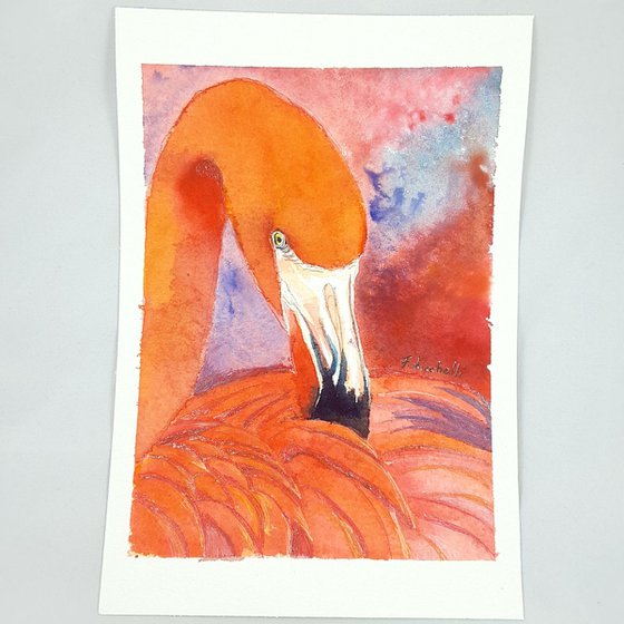 Red flamingo
