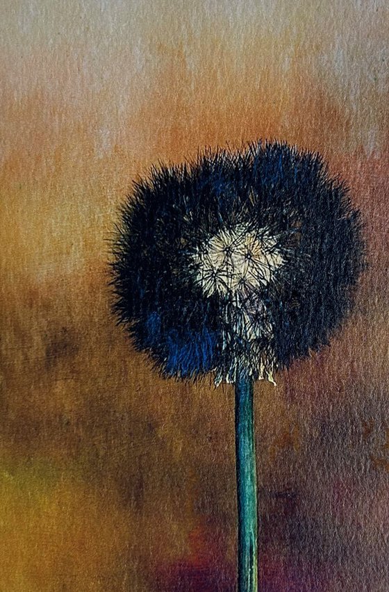 ABSTRACT SEED HEAD