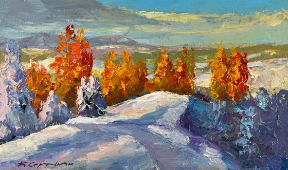 The Silence of Winter