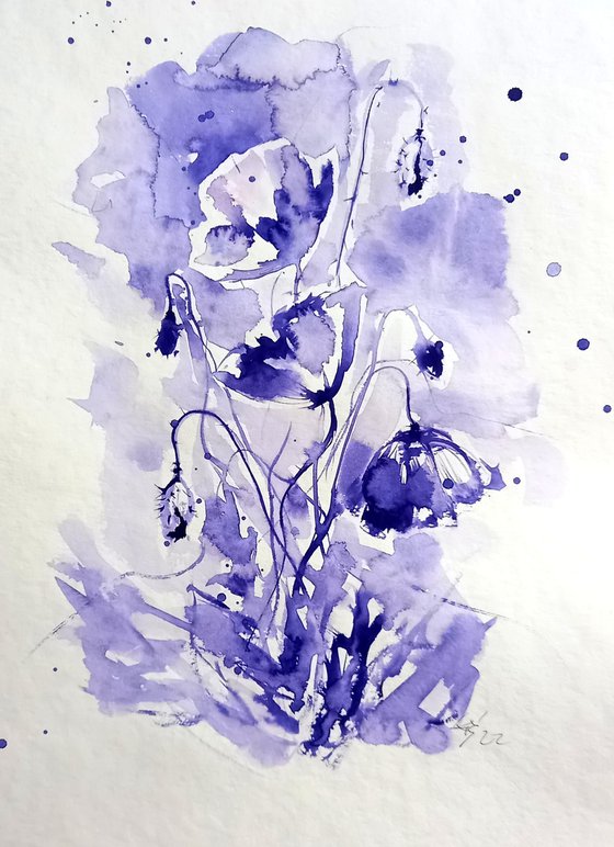 Purple poppies III