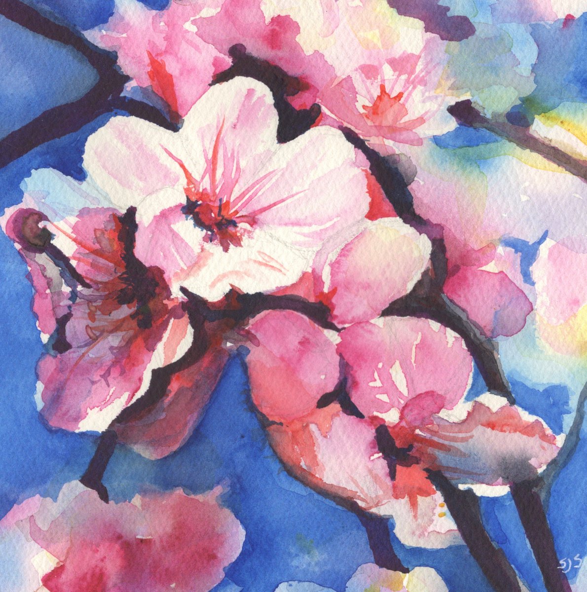 Framed Flower Painting - Spring Blossom by Sarah Stowe