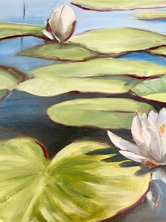 Water Lilies