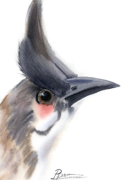 Red Whiskered Bulbul Portrait By Olga Shefranov Artfinder