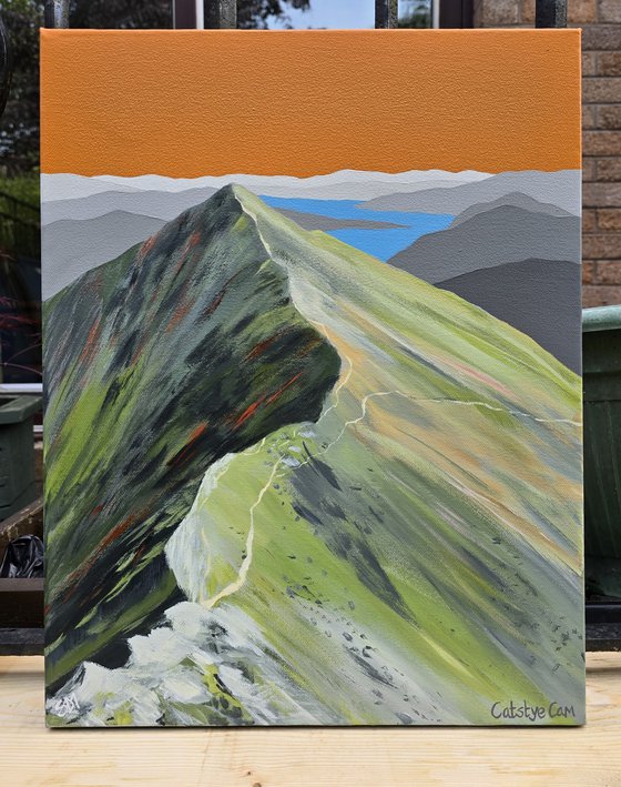 Catstye Cam