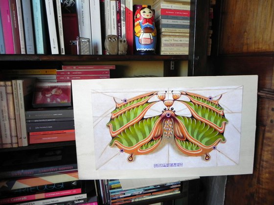 Fibonacci moth