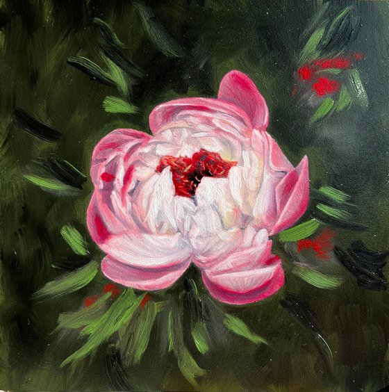Pink Peony - Hyperrealist Floral Oil Painting