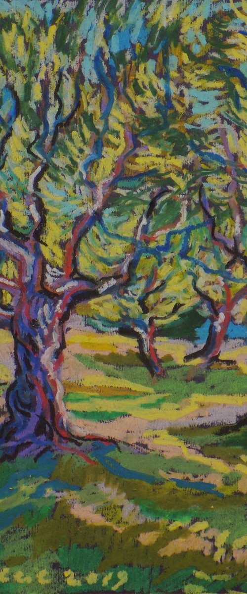 Olive grove No 9 by Maja Grecic
