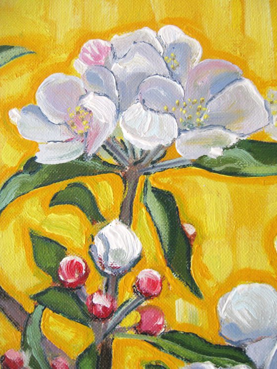 Apple Blossom against a Yellow Background