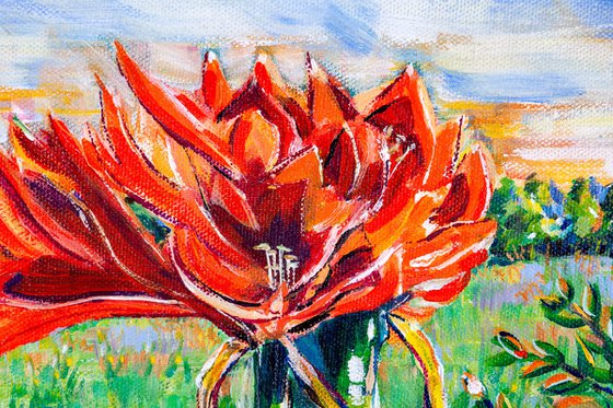 WINDOWSILL CAT WITH RED AMARYLLIS