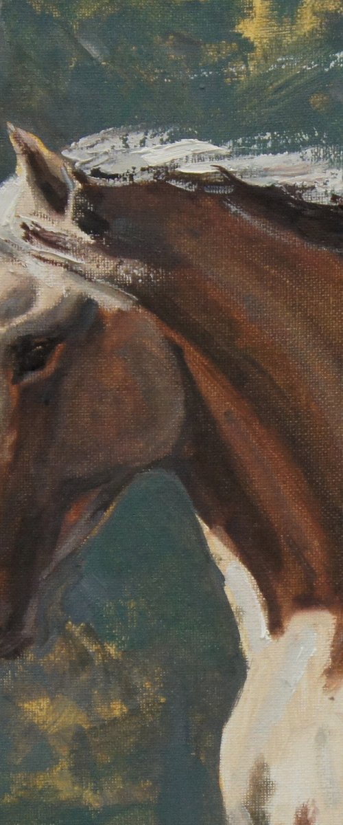 Flight by Elena Sanina